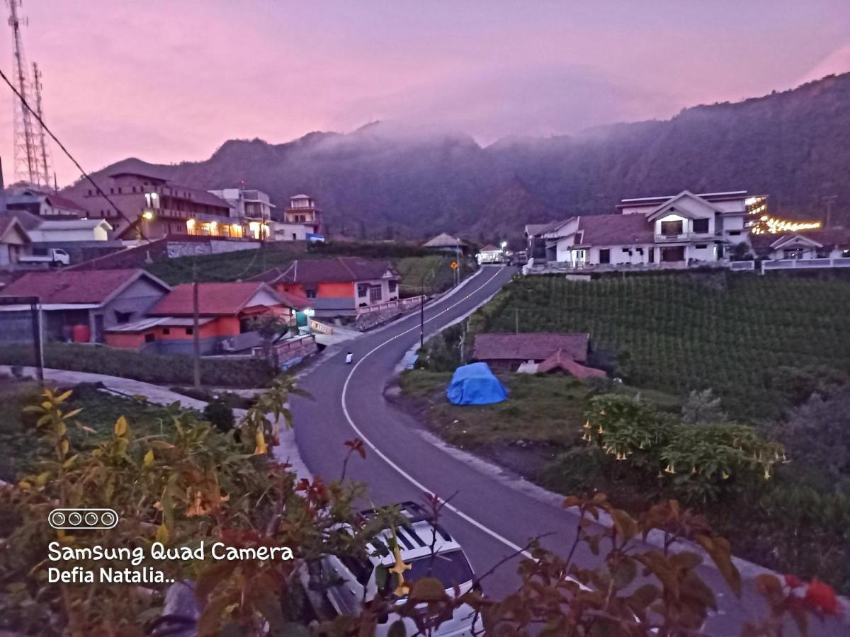 Bromo Deddy Homestay Exterior foto