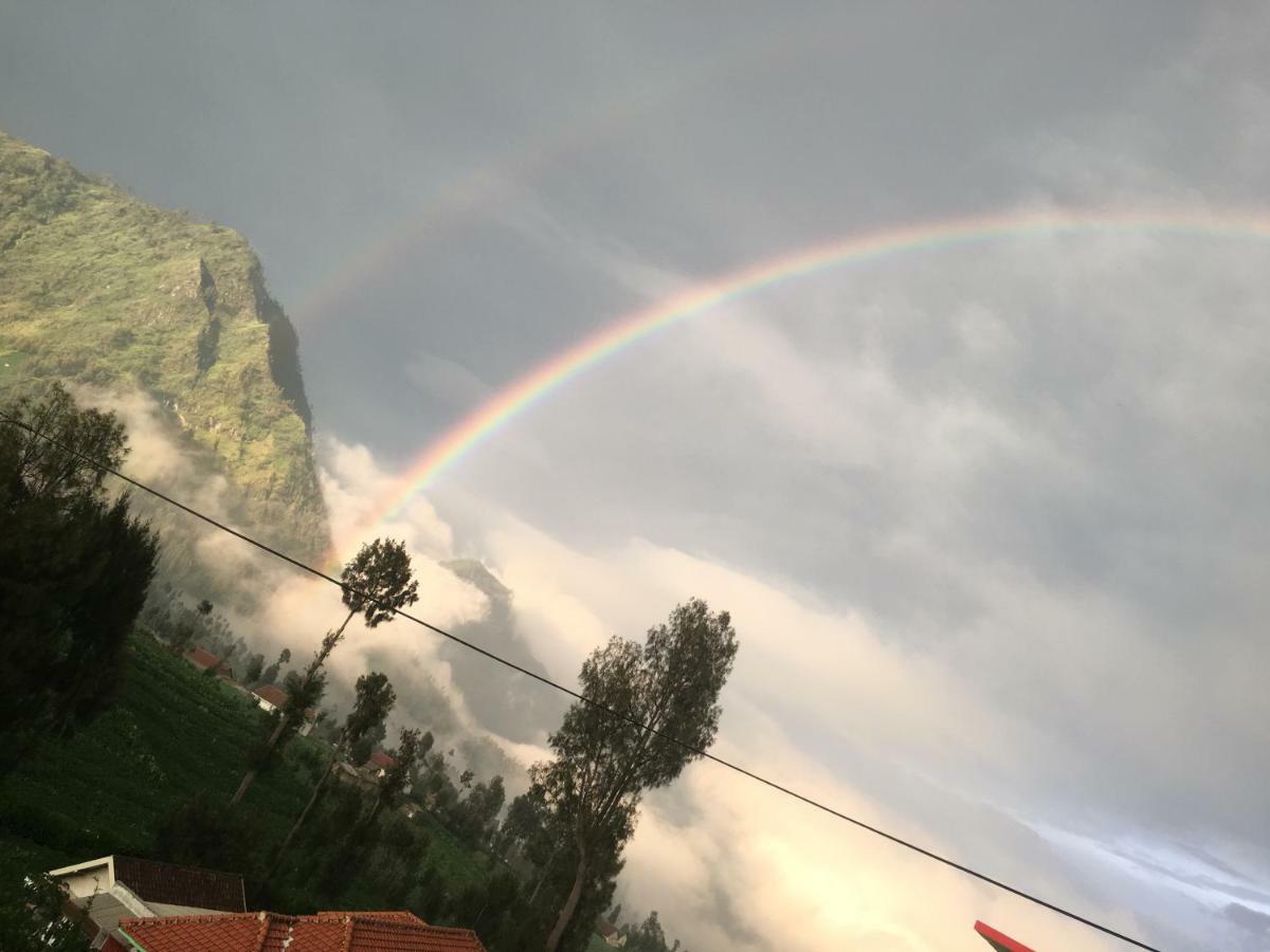 Bromo Deddy Homestay Exterior foto