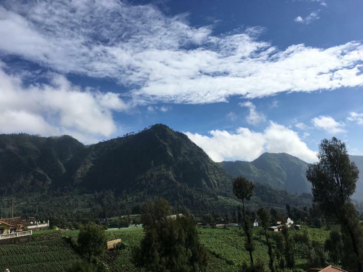Bromo Deddy Homestay Exterior foto